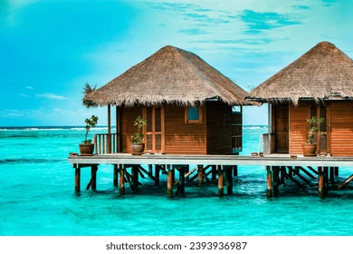 maldives-tropical-island-beautiful-isolated-260nw-2393936987