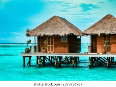 maldives-tropical-island-beautiful-isolated-260nw-2393936987
